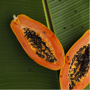 papaya